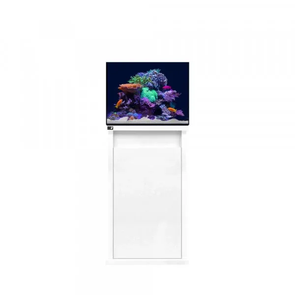 D-D Reef-Pro 600 Aquarium.