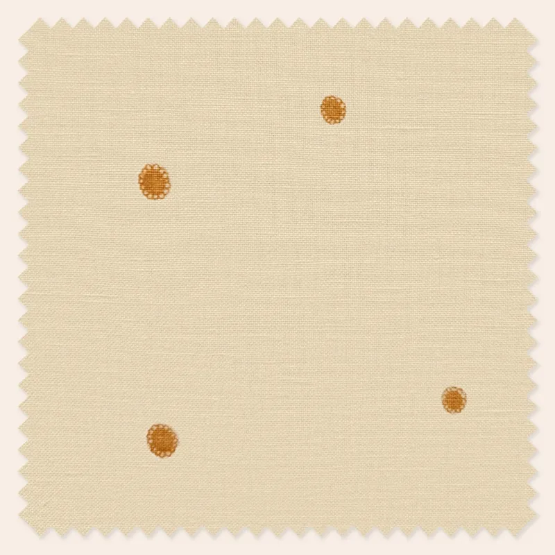 Dolce Daisies, Limoncello, Metre