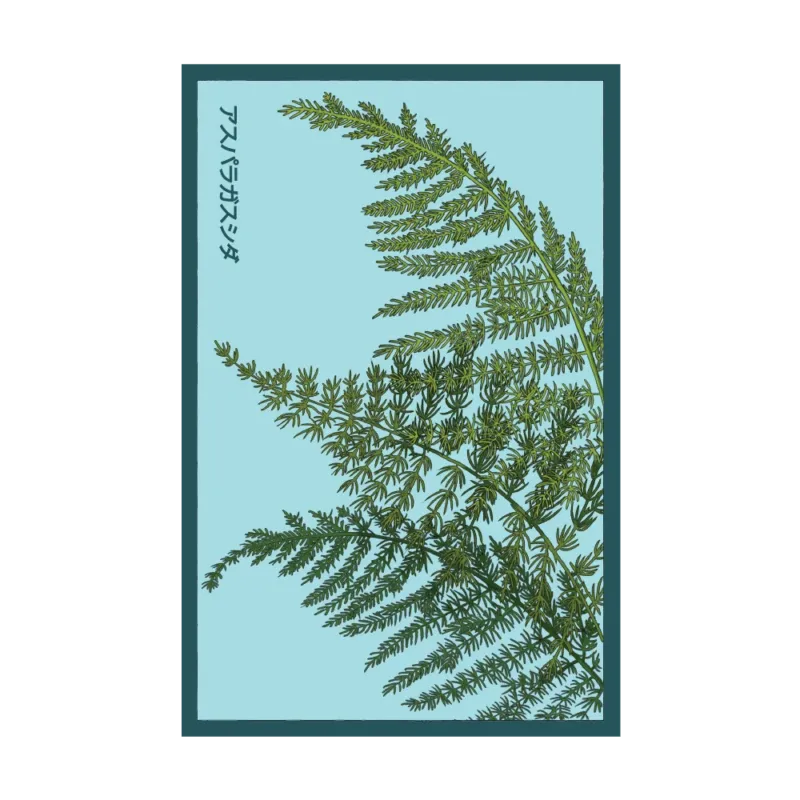 Asparagus Fern indoor seed packet - Shido Seeds non-GMO vacuum-sealed woodblock design
