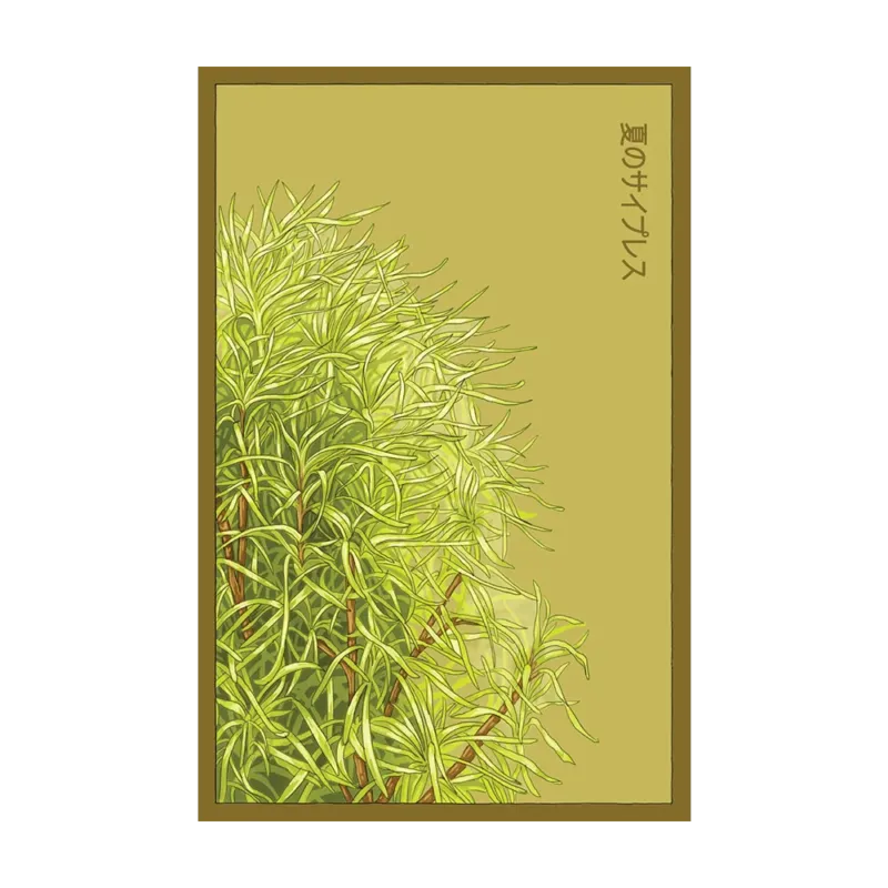 Summer Cypress seed packet - Shido Seeds non-GMO vacuum-sealed woodblock design
