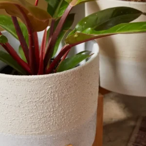 Calvia Pot with Stand Set of 2 By Accent Decor | Planters, Troughs & Cachepots | Modishstore - 1