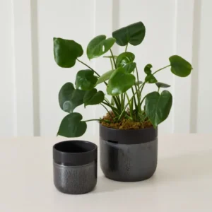 Lennon Pot Set of 4 By Accent Decor | Planters, Troughs & Cachepots | Modishstore - 1