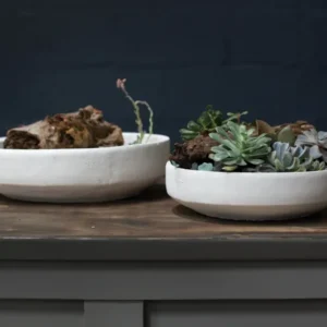 Zane Bowl Set Of 4 By Accent Decor | Planters, Troughs & Cachepots | Modishstore - 1